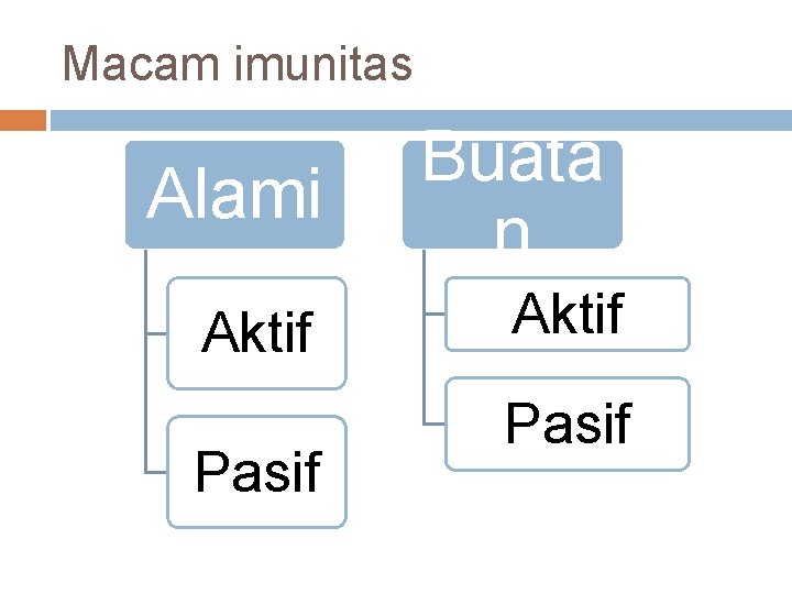 Macam imunitas Alami Aktif Pasif Buata n Aktif Pasif 