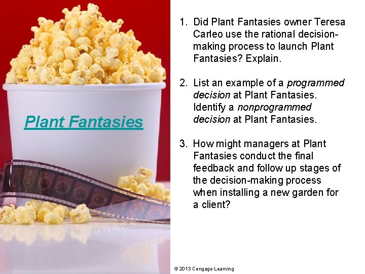 1. Did Plant Fantasies owner Teresa Carleo use the rational decisionmaking process to launch