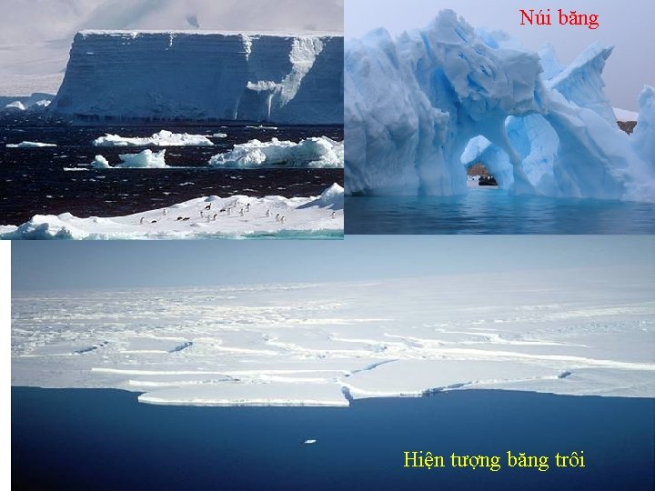 Núi băng Hiện tượng băng trôi 