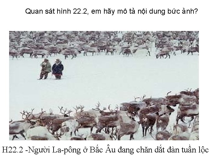 Quan sát hình 22. 2, em hãy mô tả nội dung bức ảnh? H