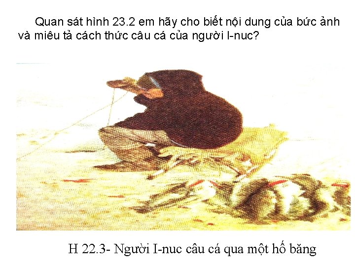 Quan sát hình 23. 2 em hãy cho biết nội dung của bức ảnh