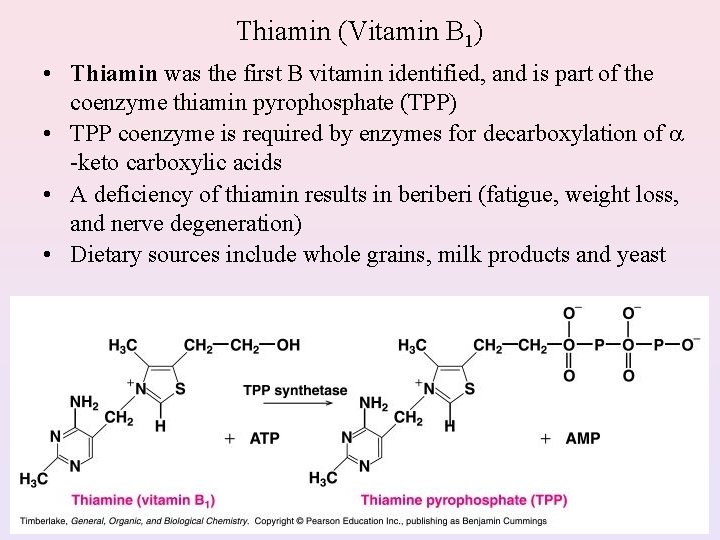Thiamin (Vitamin B 1) • Thiamin was the first B vitamin identified, and is