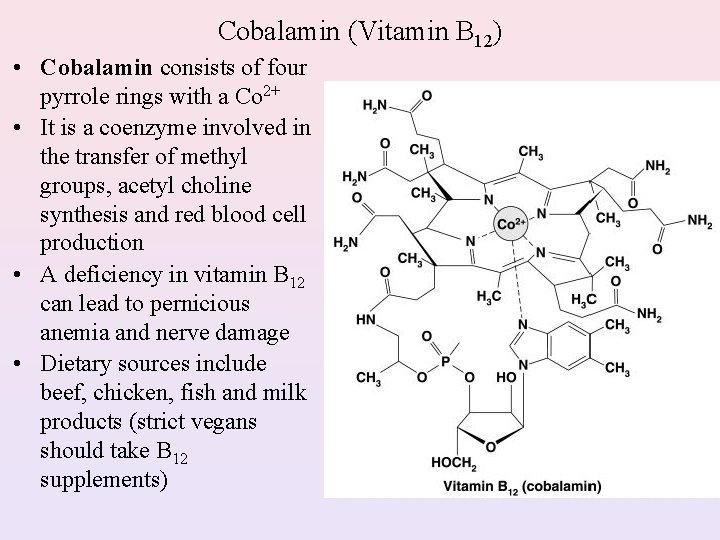 Cobalamin (Vitamin B 12) • Cobalamin consists of four pyrrole rings with a Co