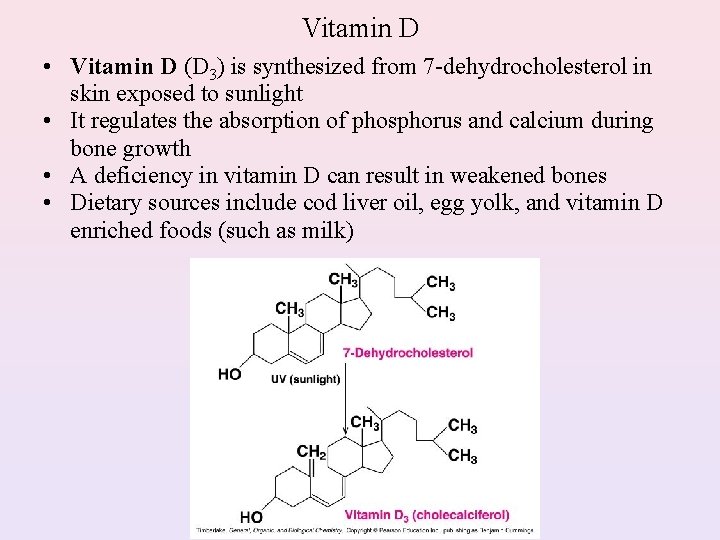 Vitamin D • Vitamin D (D 3) is synthesized from 7 -dehydrocholesterol in skin