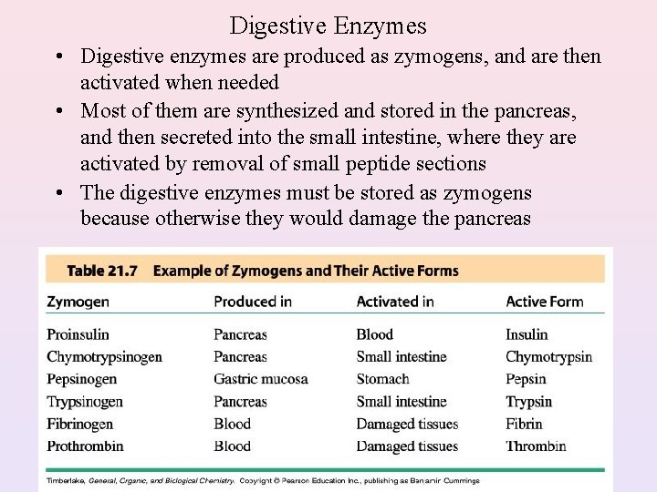 Digestive Enzymes • Digestive enzymes are produced as zymogens, and are then activated when