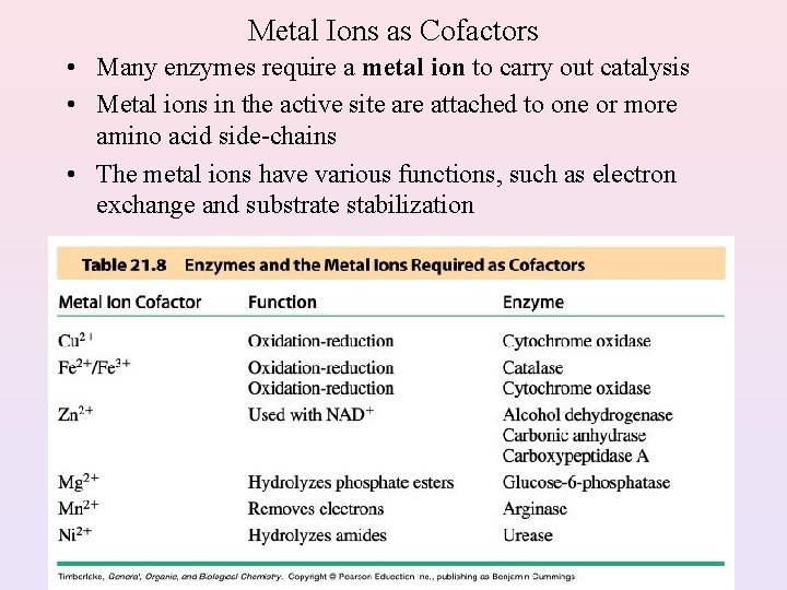 Metal Ions as Cofactors • Many enzymes require a metal ion to carry out