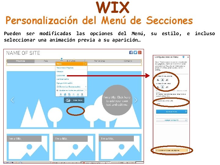 WIX Personalización del Menú de Secciones Pueden ser modificadas las opciones del Menú, su