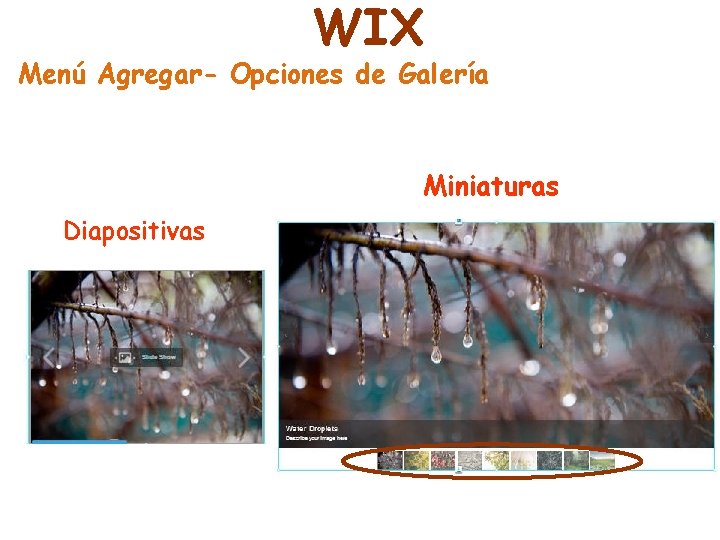 WIX Menú Agregar- Opciones de Galería Miniaturas Diapositivas 