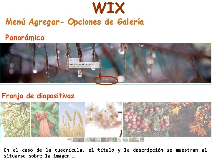 WIX Menú Agregar- Opciones de Galería Panorámica Franja de diapositivas En el caso de
