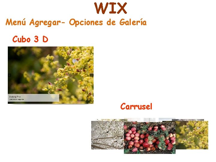 WIX Menú Agregar- Opciones de Galería Cubo 3 D Carrusel 