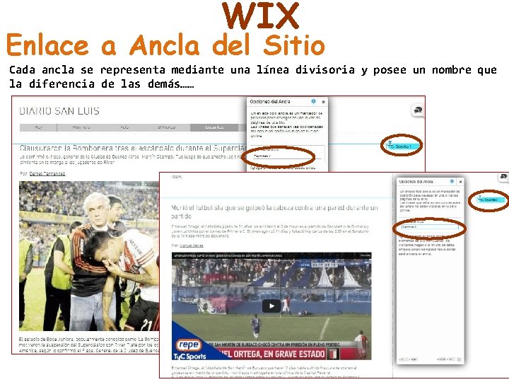 WIX Enlace a Ancla del Sitio Cada ancla se representa mediante una línea divisoria