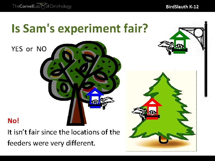 Bird. Sleuth K-12 Is Sam's experiment fair? YES or NO No! It isn’t fair