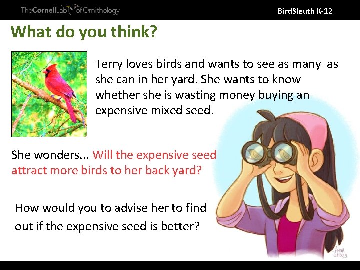 Bird. Sleuth K-12 What do you think? Terry loves birds and wants to see