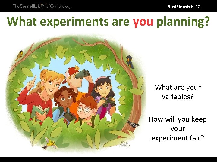 Bird. Sleuth K-12 What experiments are you planning? What are your variables? How will