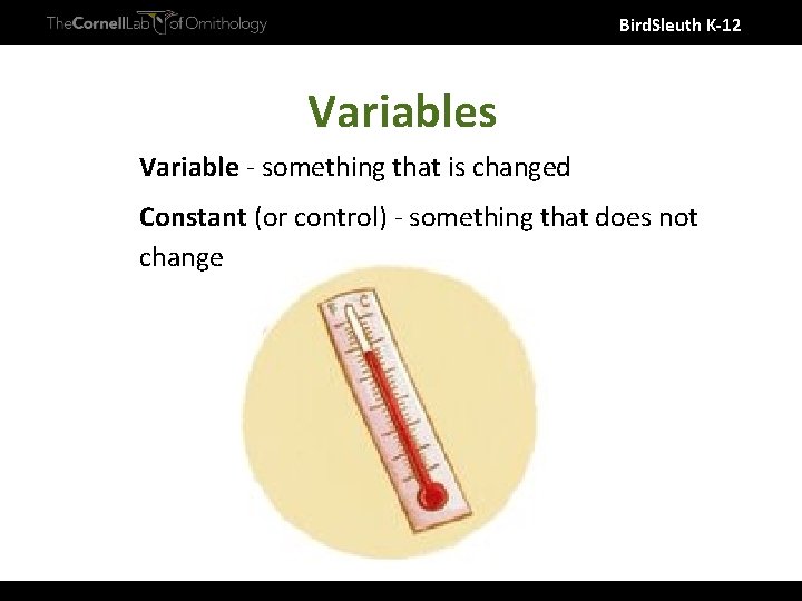 Bird. Sleuth K-12 Variables Variable - something that is changed Constant (or control) -