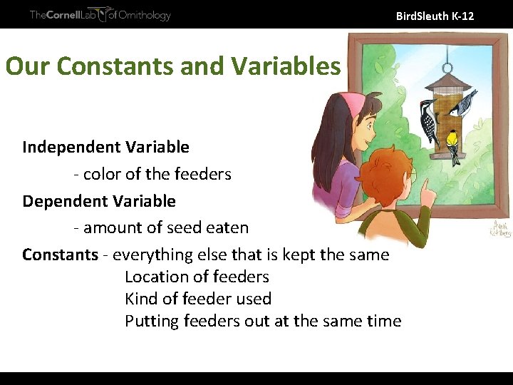 Bird. Sleuth K-12 Our Constants and Variables Independent Variable - color of the feeders