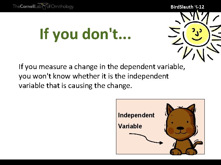 Bird. Sleuth K-12 If you don't. . . If you measure a change in