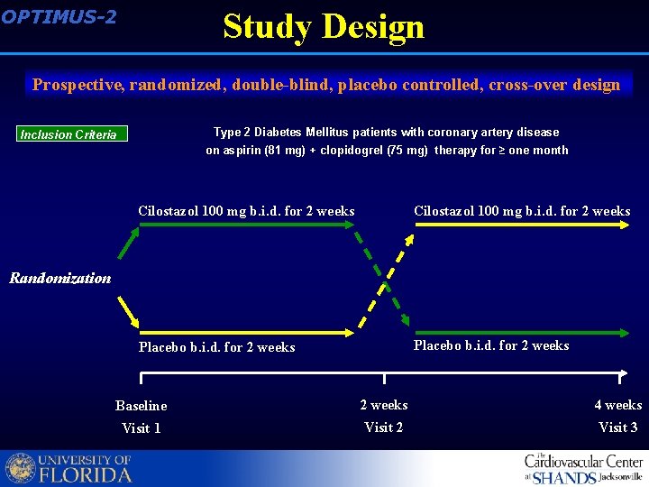 OPTIMUS-2 Study Design Prospective, randomized, double-blind, placebo controlled, cross-over design Type 2 Diabetes Mellitus