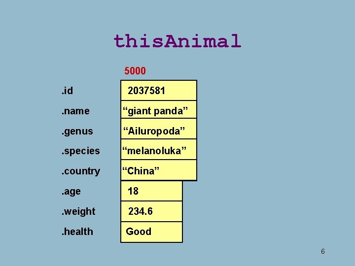 this. Animal 5000. id 2037581 . name “giant panda” . genus “Ailuropoda” . species this. Animal 5000. id 2037581 . name “giant panda” . genus “Ailuropoda” . species