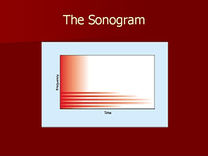 The Sonogram 