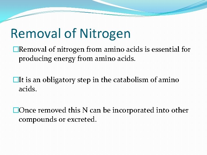 Removal of Nitrogen �Removal of nitrogen from amino acids is essential for producing energy