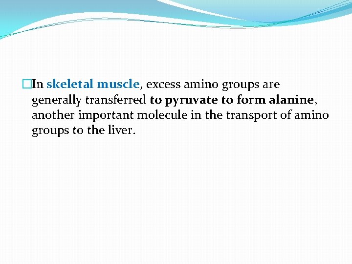 �In skeletal muscle, excess amino groups are generally transferred to pyruvate to form alanine,