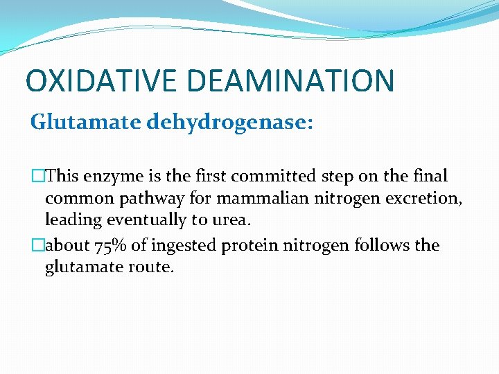 OXIDATIVE DEAMINATION Glutamate dehydrogenase: �This enzyme is the first committed step on the final
