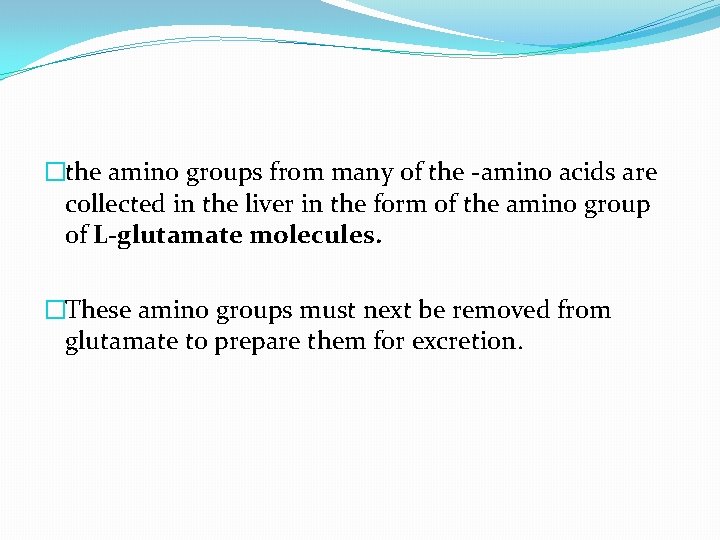 �the amino groups from many of the -amino acids are collected in the liver