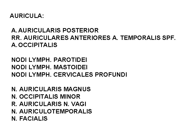 AURICULA: A. AURICULARIS POSTERIOR RR. AURICULARES ANTERIORES A. TEMPORALIS SPF. A. OCCIPITALIS NODI LYMPH.