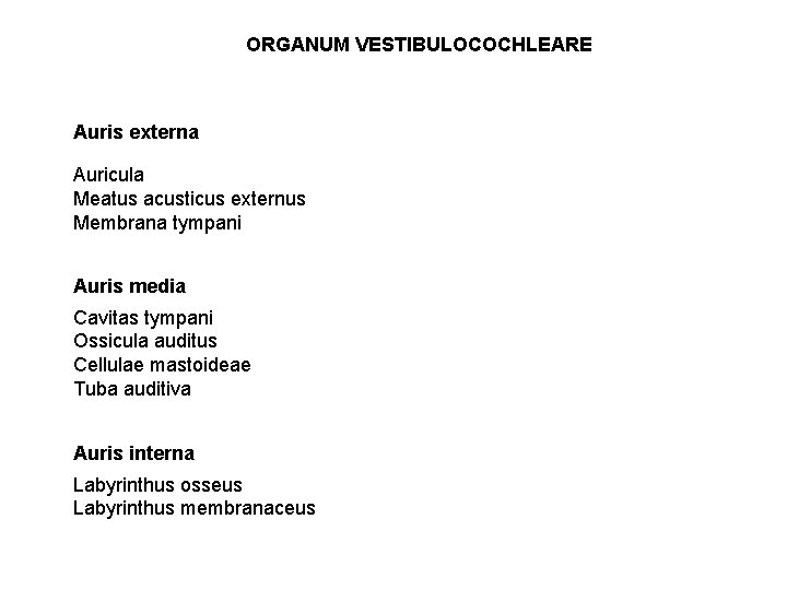 ORGANUM VESTIBULOCOCHLEARE Auris externa Auricula Meatus acusticus externus Membrana tympani Auris media Cavitas tympani