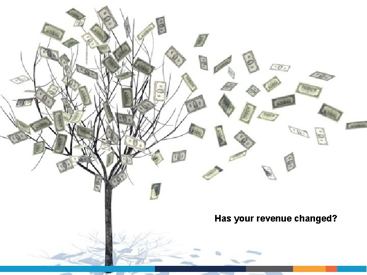 Has your revenue changed? 