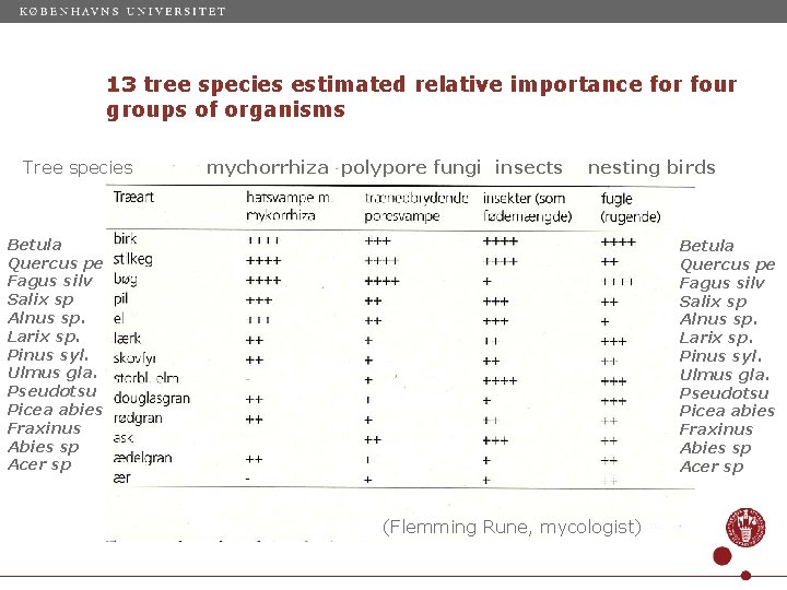 13 tree species estimated relative importance for four groups of organisms Tree species mychorrhiza
