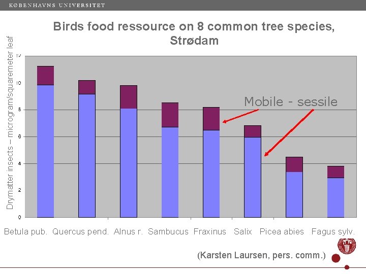 Drymatter insects – microgram/squaremeter leaf Birds food ressource on 8 common tree species, Strødam