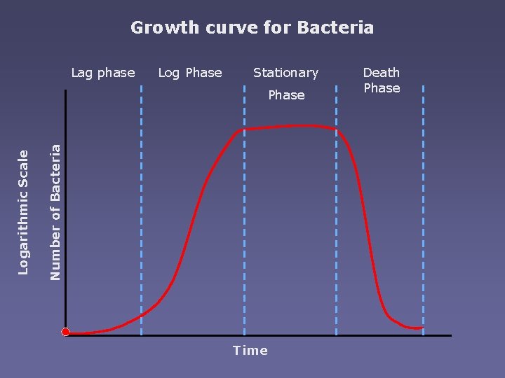 Growth curve for Bacteria Lag phase Log Phase Stationary Number of Bacteria Logarithmic Scale