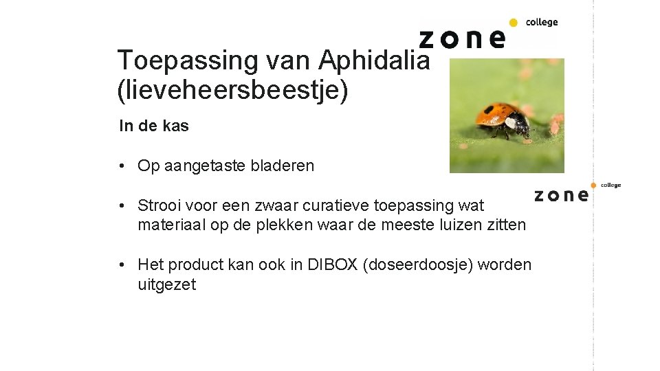 Toepassing van Aphidalia (lieveheersbeestje) In de kas • Op aangetaste bladeren • Strooi voor