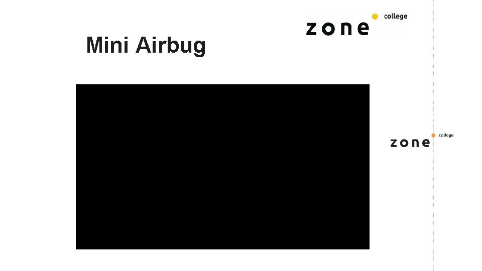 Mini Airbug 