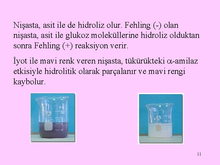Nişasta, asit ile de hidroliz olur. Fehling (-) olan nişasta, asit ile glukoz moleküllerine
