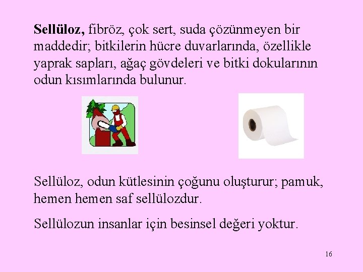 Sellüloz, fibröz, çok sert, suda çözünmeyen bir maddedir; bitkilerin hücre duvarlarında, özellikle yaprak sapları,
