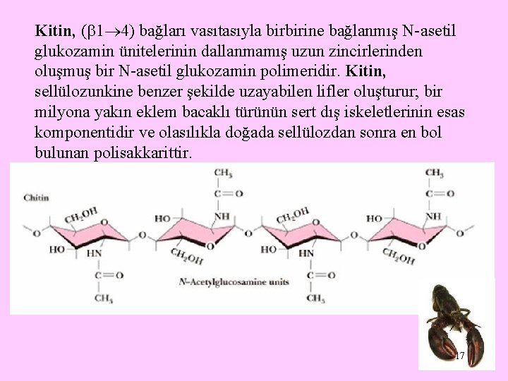 Kitin, ( 1 4) bağları vasıtasıyla birbirine bağlanmış N-asetil glukozamin ünitelerinin dallanmamış uzun zincirlerinden
