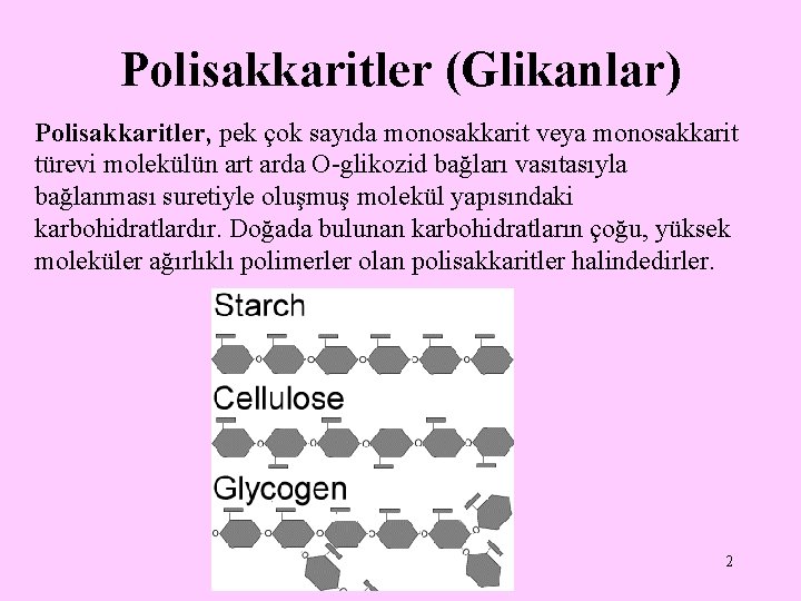 Polisakkaritler (Glikanlar) Polisakkaritler, pek çok sayıda monosakkarit veya monosakkarit türevi molekülün art arda O-glikozid