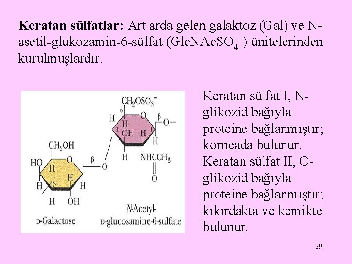 Keratan sülfatlar: Art arda gelen galaktoz (Gal) ve Nasetil-glukozamin-6 -sülfat (Glc. NAc. SO 4