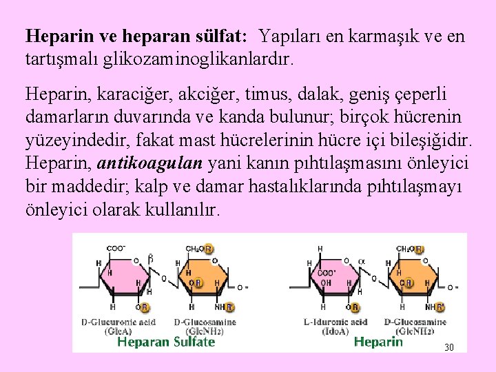 Heparin ve heparan sülfat: Yapıları en karmaşık ve en tartışmalı glikozaminoglikanlardır. Heparin, karaciğer, akciğer,