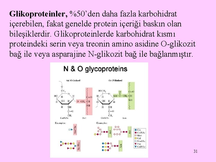 Glikoproteinler, %50’den daha fazla karbohidrat içerebilen, fakat genelde protein içeriği baskın olan bileşiklerdir. Glikoproteinlerde