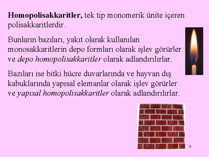 Homopolisakkaritler, tek tip monomerik ünite içeren polisakkaritlerdir. Bunların bazıları, yakıt olarak kullanılan monosakkaritlerin depo