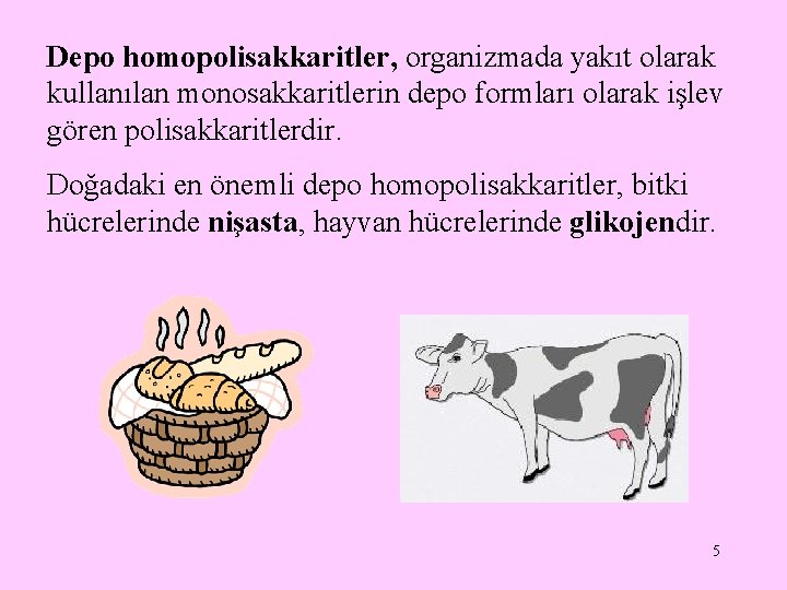 Depo homopolisakkaritler, organizmada yakıt olarak kullanılan monosakkaritlerin depo formları olarak işlev gören polisakkaritlerdir. Doğadaki