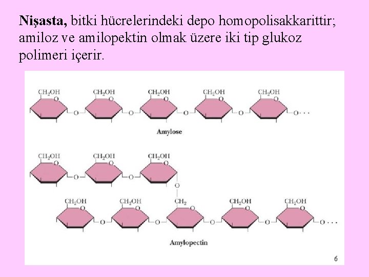 Nişasta, bitki hücrelerindeki depo homopolisakkarittir; amiloz ve amilopektin olmak üzere iki tip glukoz polimeri