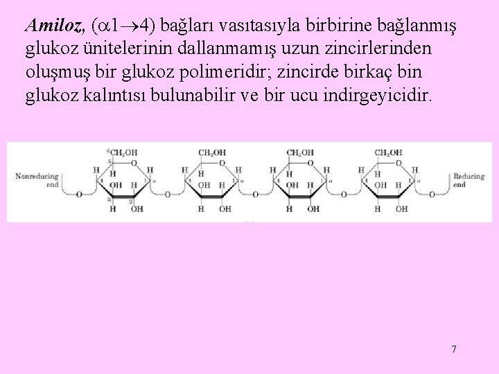Amiloz, ( 1 4) bağları vasıtasıyla birbirine bağlanmış glukoz ünitelerinin dallanmamış uzun zincirlerinden oluşmuş