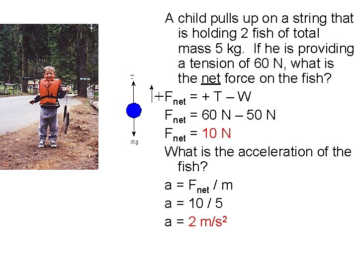 A child pulls up on a string that is holding 2 fish of total