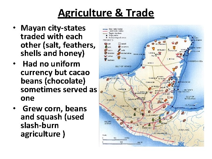 Agriculture & Trade • Mayan city-states traded with each other (salt, feathers, shells and