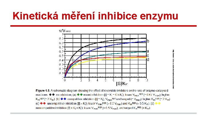 Kinetická měření inhibice enzymu http: //www 1. lsbu. ac. uk/water/enztech/inhibition. html 